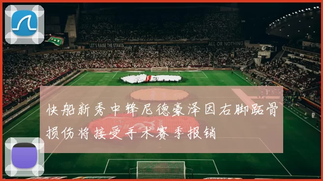 快船新秀中锋尼德豪泽因右脚跖骨损伤将接受手术赛季报销