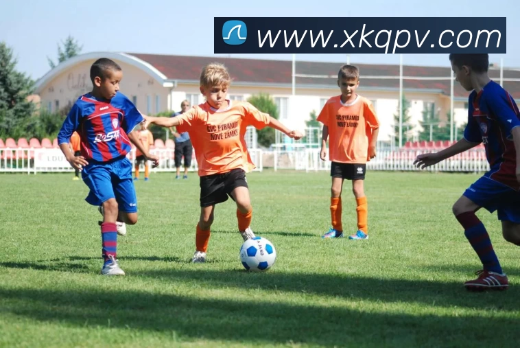 星空娱乐棋牌平台生态图